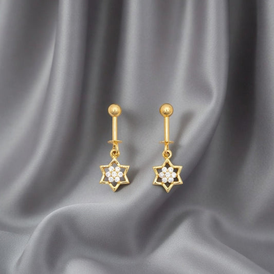 Elegant Star Drop Earrings