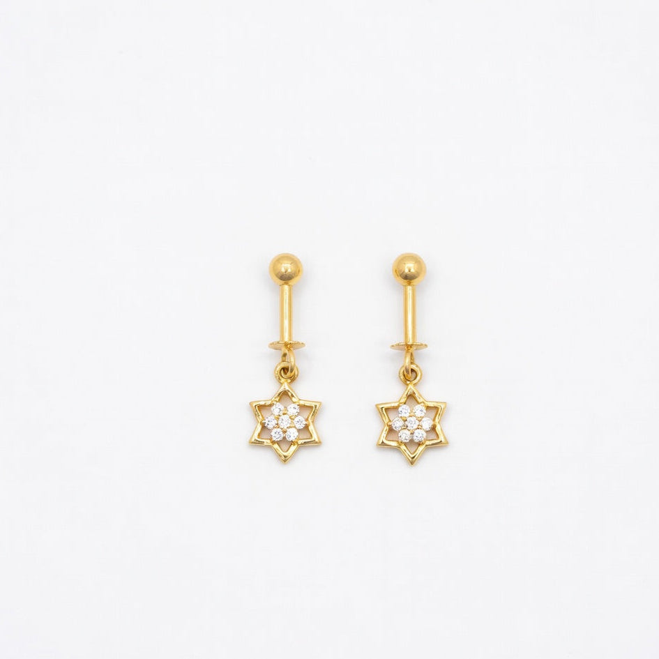 Elegant Star Drop Earrings